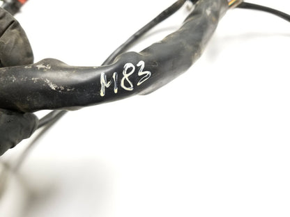 2002 Aprilia Rst 1000 Futura Front & Rear Main Engine Wiring Harness OEM