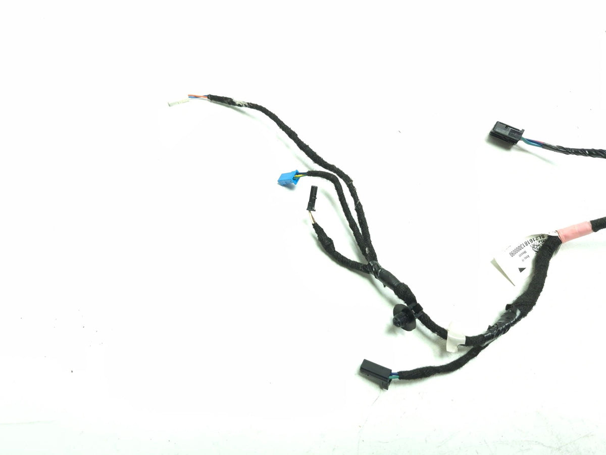 2018 Tesla Model 3 Rear Door Wire Harness Passenger Side Right OEM