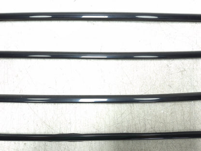2008 BMW X6 E71 Door Window Belt Strip Molding Front & Rear 4pcs OEM