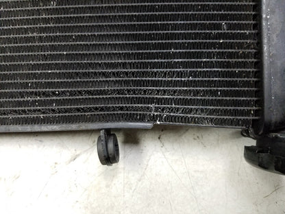 2014 - 2018 Honda Cbr650f Radiator Coolant  OEM
