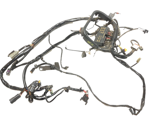2004 Harley Softail Flstc Heritage Classic Main Wire Harness OEM
