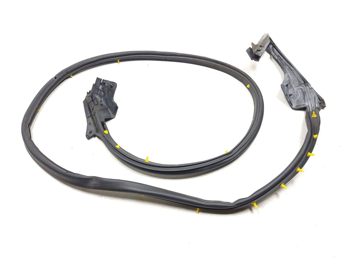 2013-2016 Hyundai Genesis Coupe Door Weatherstrip Seal Right Passenger Side OEM