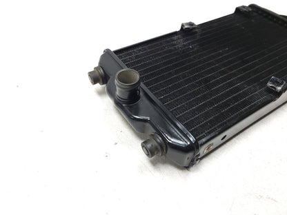 14 - 20 Harley Xg750 Street 750 Radiator Coolant   OEM
