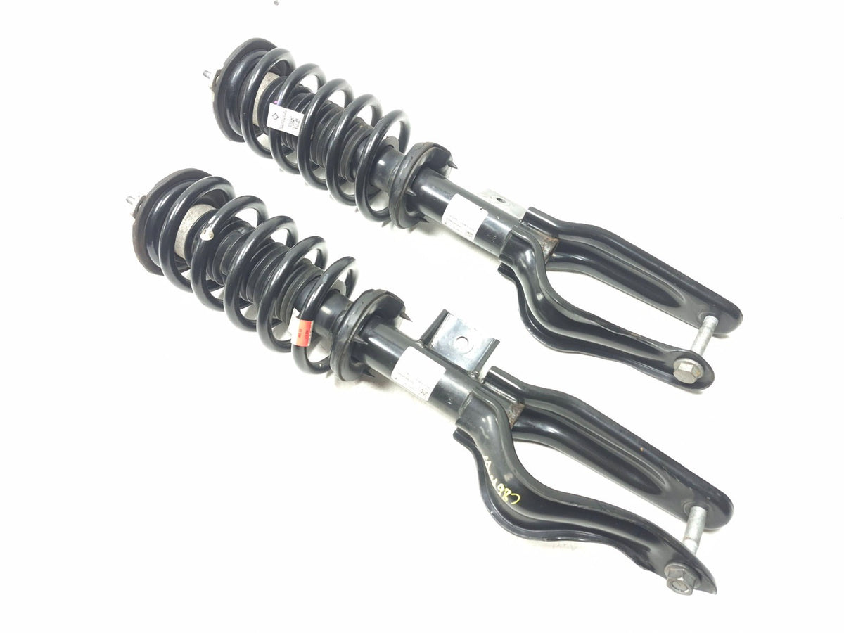 2020 Tesla Model 3 AWD Front Shock Strut Absorber Left & Right OEM