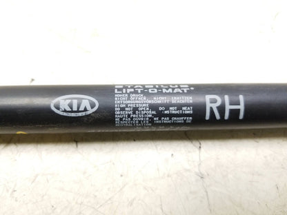 2011 - 2016 Kia Sportage Tailgate Lift Shock Support 2pcs OEM