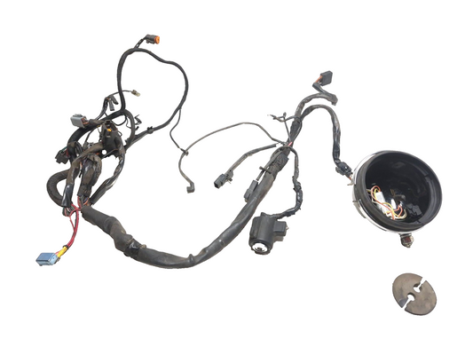 1997 Harley-davidson Sportster Xl883 Main Wire Harness W/ Ignition Lock OEM