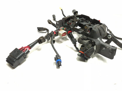 2020 Harley-davidson Sportster Xl1200 Main Wiring Harness Non ABS OEM