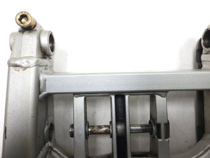 02-06 Ducati Monster M600 620 Swingarm OEM