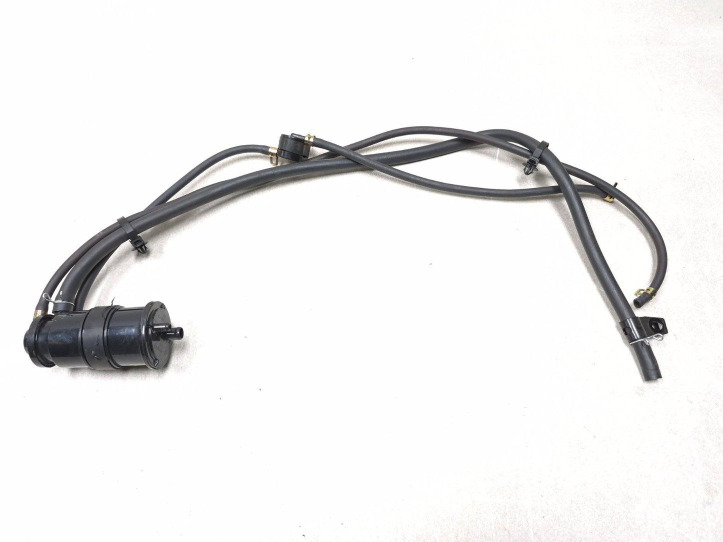 2025 Qiax Fy200t34/tank 200 Evap Charcoal Canister OEM