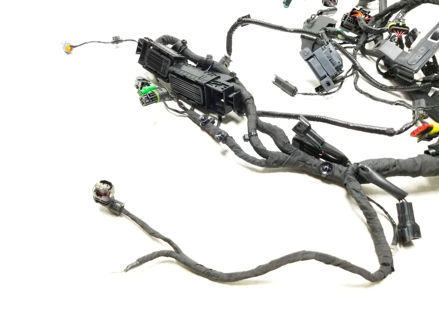 2023 BMW G310r Main Wire Wiring Harness  OEM