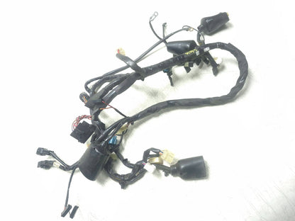 2009 Yamaha Fz6r Main Wire Harness OEM