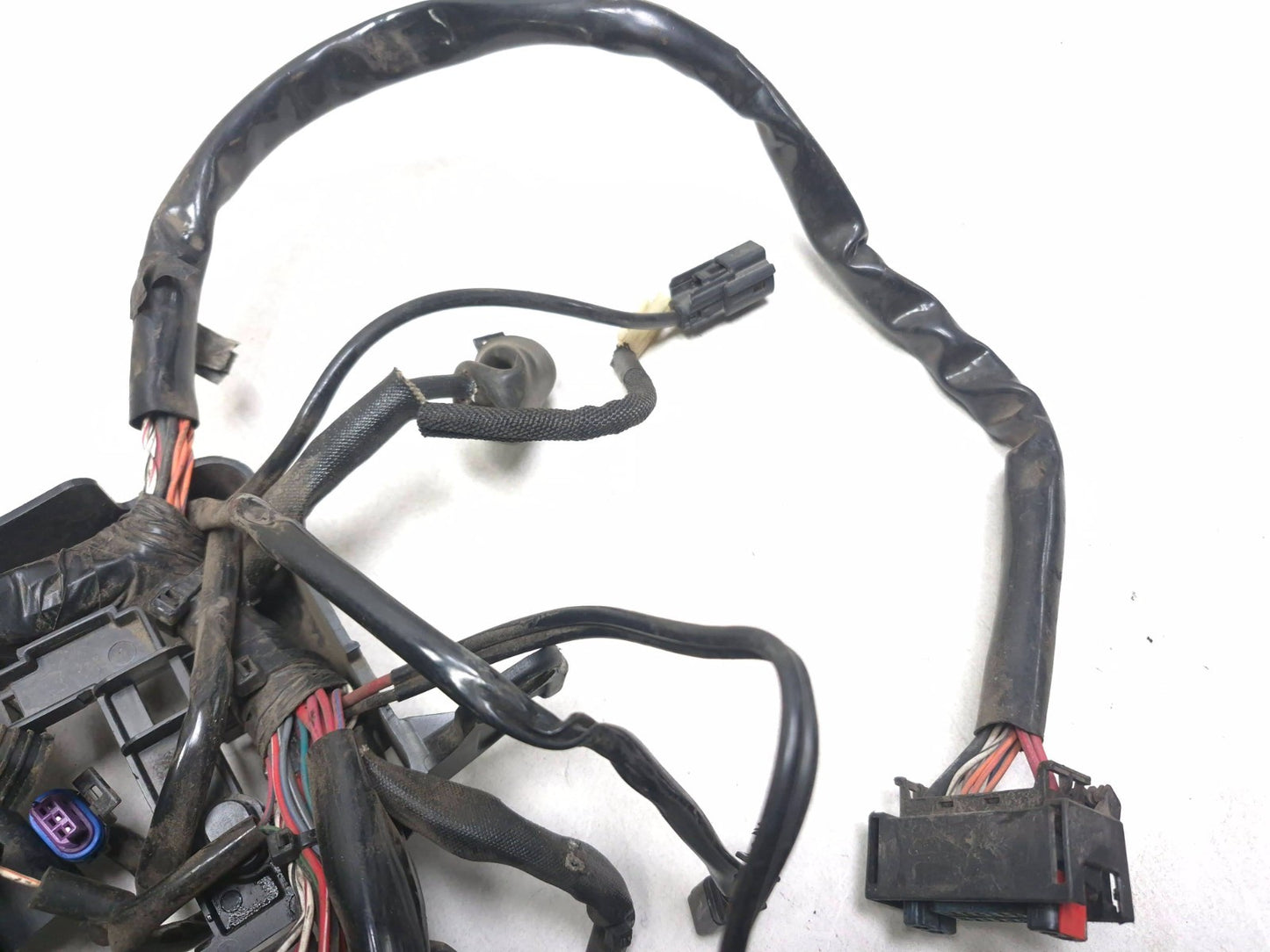 2021 Harley-davidson Sportster Xl1883 ABS Main Wire Wiring Harness OEM