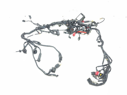 2025 Yamaha Xsr900 Main Wire Harness OEM