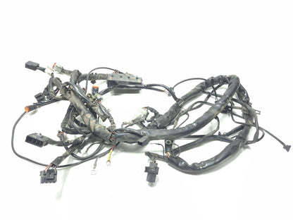 2003 Harley-davidson Electra Glide Flht Main Wiring Harness & Fuse Box