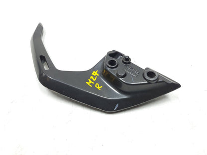 2021 - 2024  BMW G310 R Rear Passenger Grab Rail Left & Right OEM