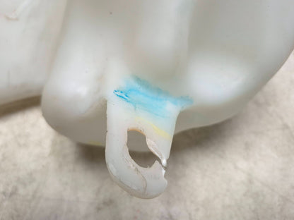 2019 Ford Ecosport Windshield Washer Fluid Reservoir  OEM