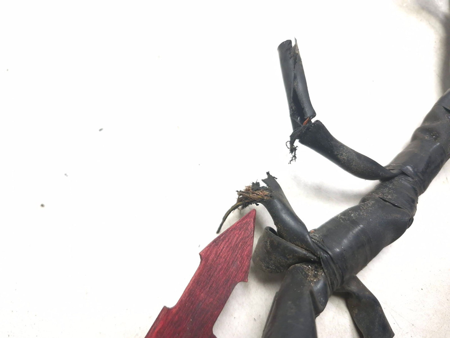 2023 Kawasaki Ninja Ex 400 Main Wire Harness OEM