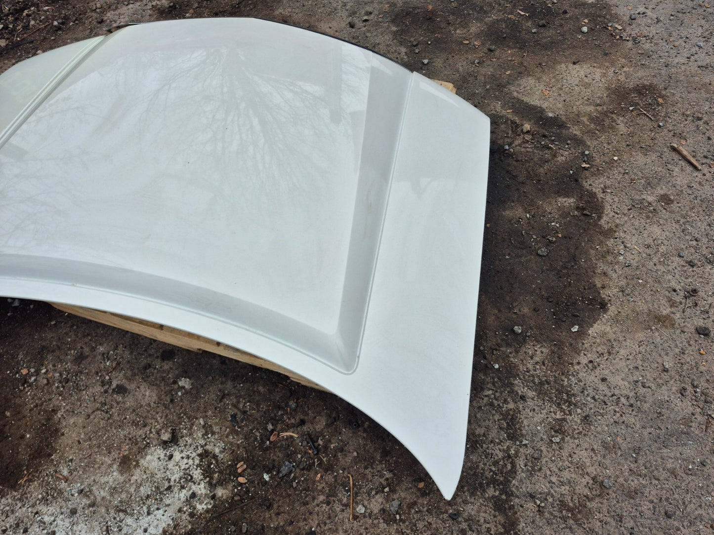 2008 Lincoln Navigator Hood Panel OEM