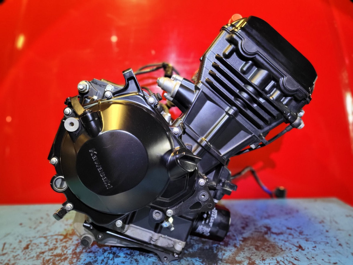 2017 - 2026 Kawasaki Kle300 Versus-x 300 Engine Motor 2,207 Miles ✅