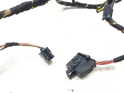 2007 - 2013 BMW X5 E70 Door Wire Harness Front Driver Side Left OEM