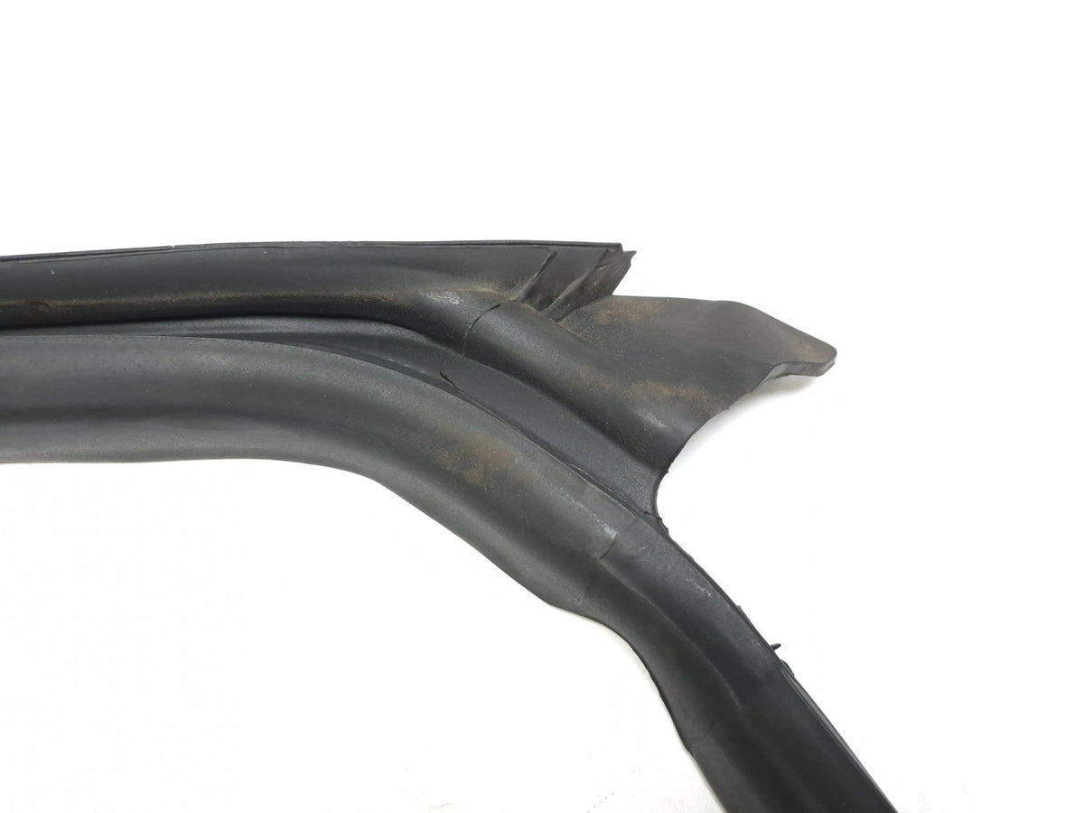 2021 Tesla Model 3 Front Door Window Belt Molding & Body Seal Passenger Side OEM