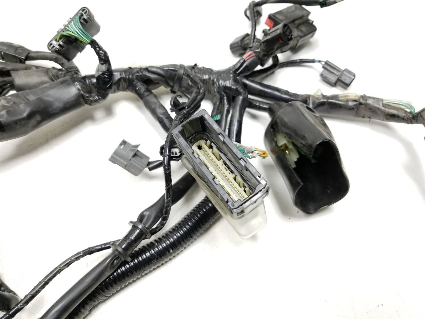 19 - 23 Honda Cbf300 Na Main Engine Wire Harness OEM