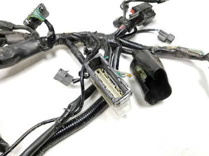 19 - 23 Honda Cbf300 Na Main Engine Wire Harness OEM