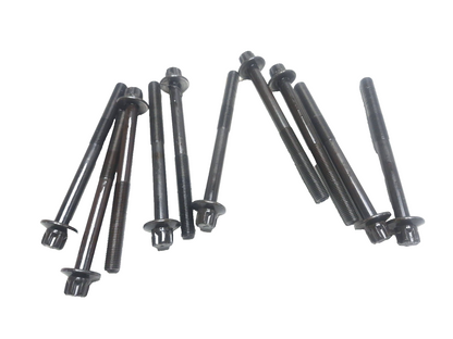 2015 Nissan Juke Cylinder Head Bolts 10pcs OEM 110561kc0a
