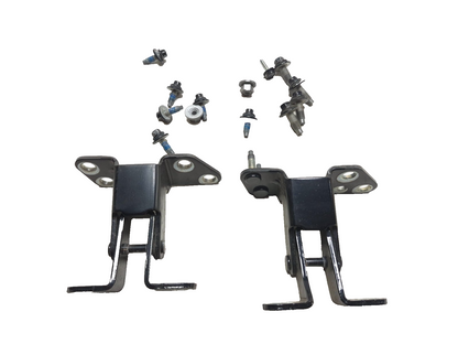 2019 Ford Ecosport Hinge Trunk Pair OEM