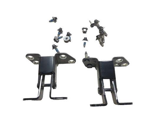 2019 Ford Ecosport Hinge Trunk Pair OEM