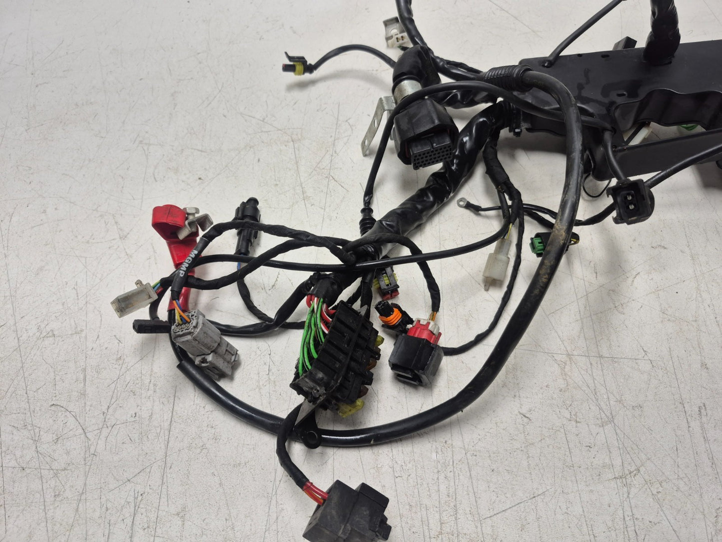 2022 Moto Guzzi V7 Main Wire Harness OEM