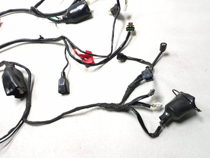 2023 Qianxin Fy200t Main Wire Harness OEM