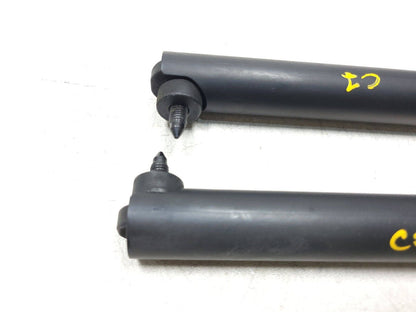 07-13 BMW X5 E70 Tailgate Shock Support Strut Pair OEM