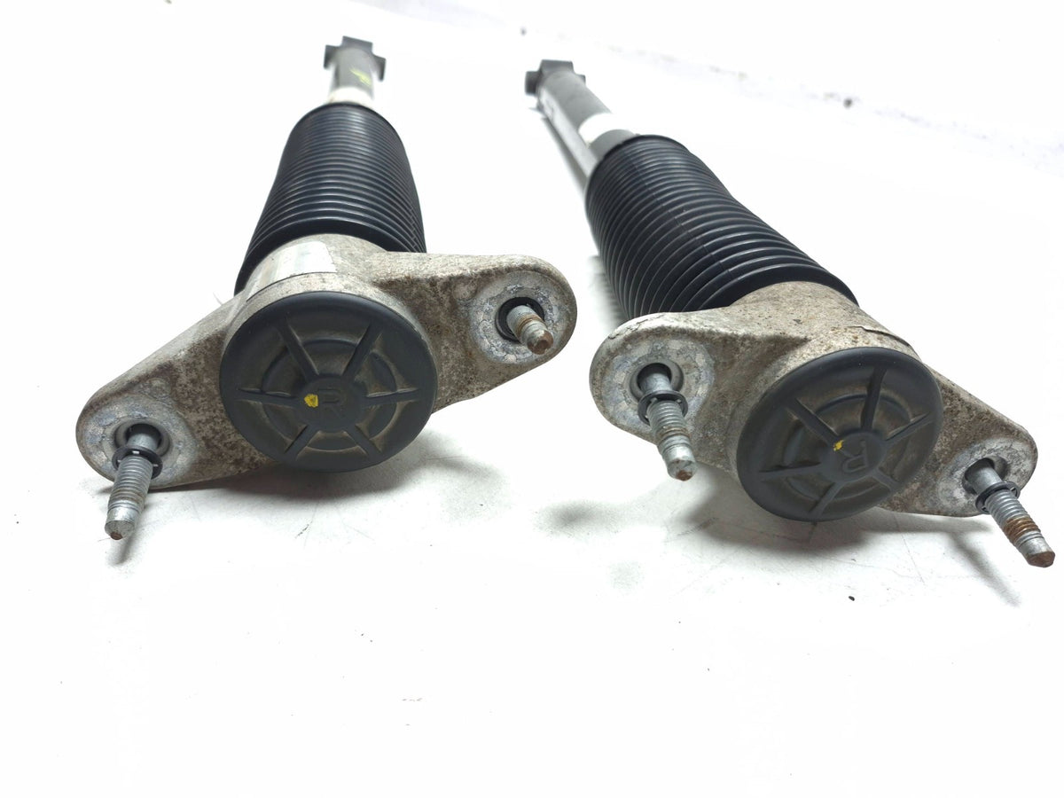 2022 Tesla Model 3 RWD Rear Shock Strut Absorber Left & Right OEM