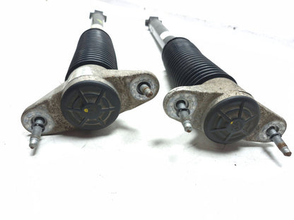 2022 Tesla Model 3 RWD Rear Shock Strut Absorber Left & Right OEM