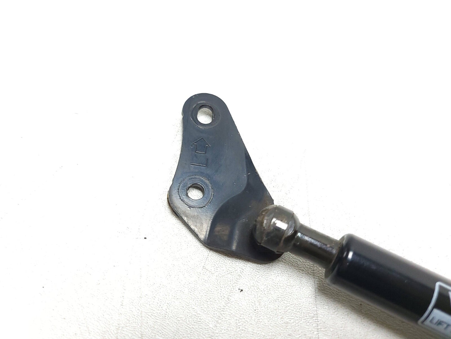 2005 - 2010 Scion Tc Trunk Lid Shock Strut Support Pair OEM