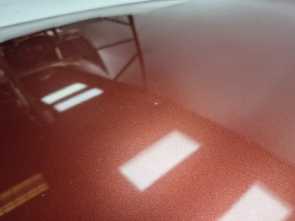 2011 Nissan Juke Hood OEM