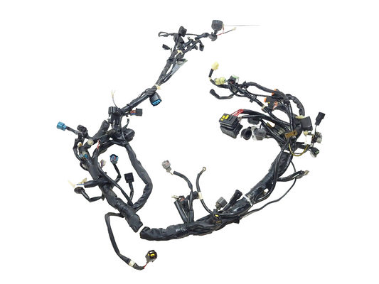 2023 Kawasaki Kle300 Versys-x 300 Main Wire Harness OEM