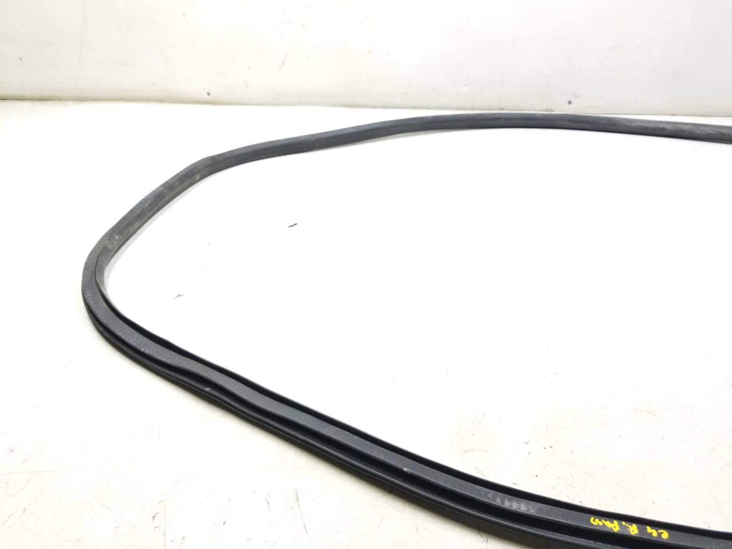 2011 Cadillac SRX Door Weatherstrip Rear Passenger Side Right OEM
