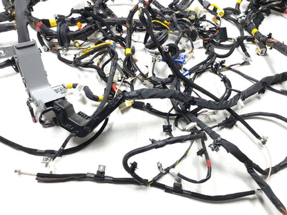 09-14 Hyundai Genesis Interior Wire Harness 4.6l OEM Sedan