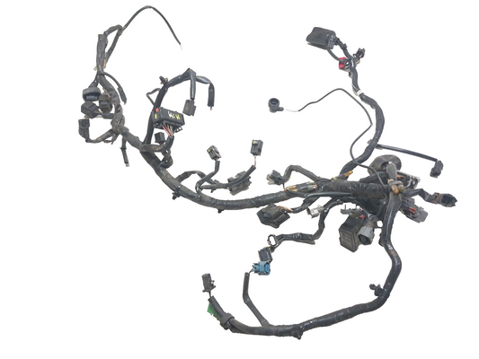 2023 Kawasaki Ninja Ex 400 Main Wire Harness OEM