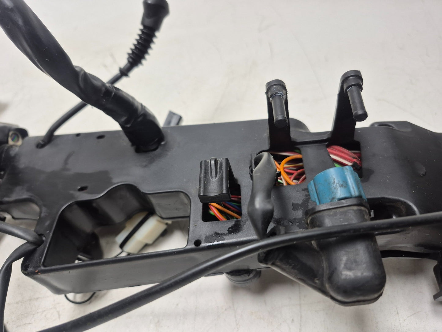 2022 Moto Guzzi V7 Main Wire Harness OEM