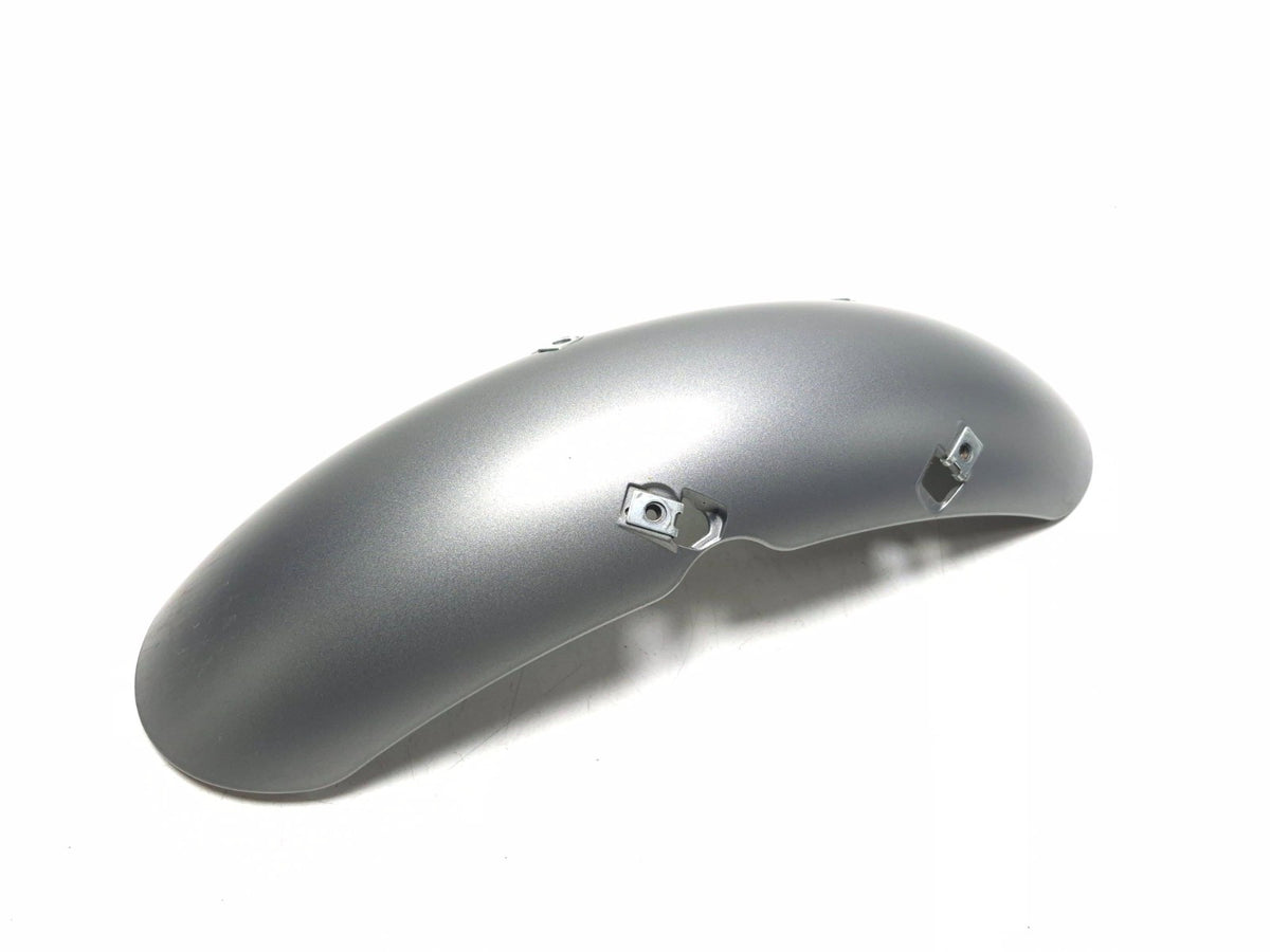 2024 Triumph Speed 400 Front Fender OEM