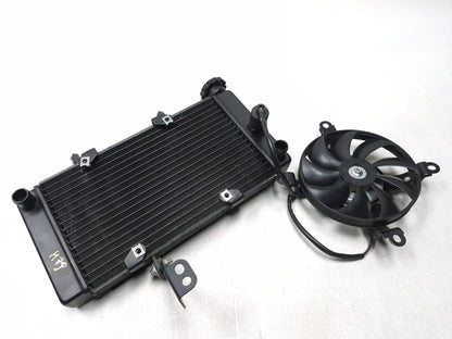 2023 Csc Rx3 Rx4 Adventure Radiator & Radiator Fan Assy OEM