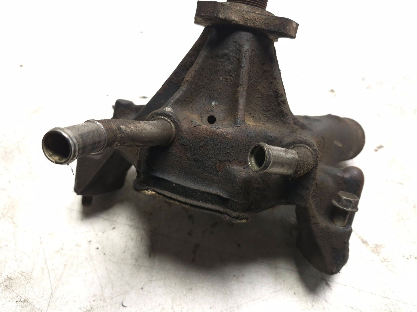 Yale Forklift V6 4.3l Engine Water Pump OEM