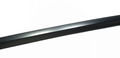 2021 Tesla Model 3 Rear Door Window Belt Molding & Door Seal Driver Side 3pcsoem