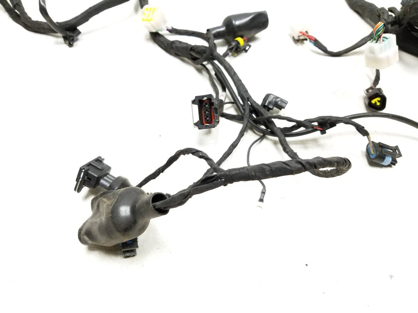 20 - 24 Benelli 302s Engine Main Wire Harness OEM 1609 Miles