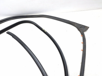 2018 Chrysler 300 Front Door Weatherstrip Seal Driver Side Left 2pcs OEM