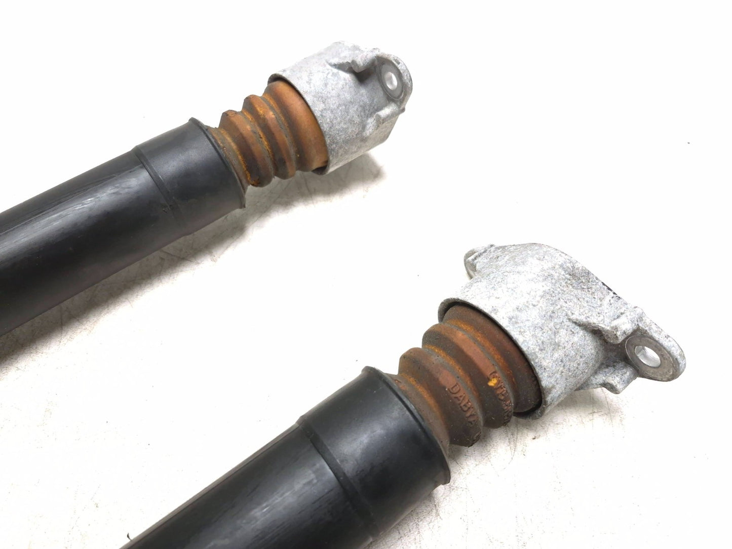 2019 Ford Ecosport Rear Shock Strut Absorber Pair OEM