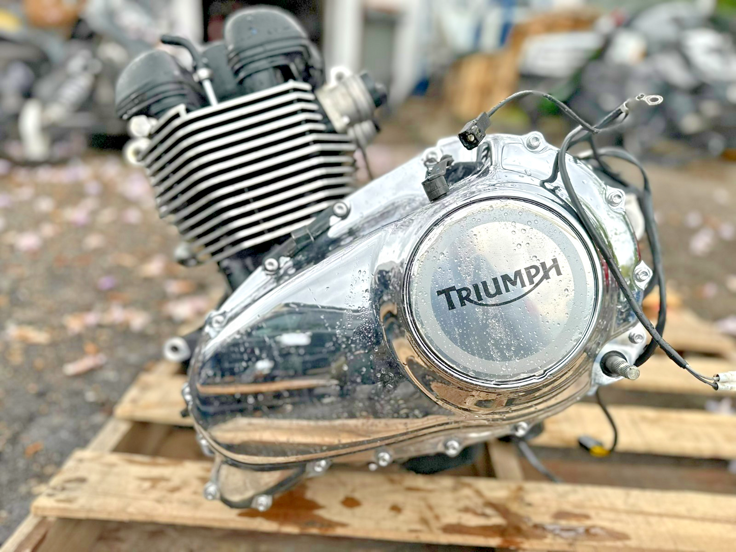 2014 Triumph America Engine Motor OEM 5,083 Miles